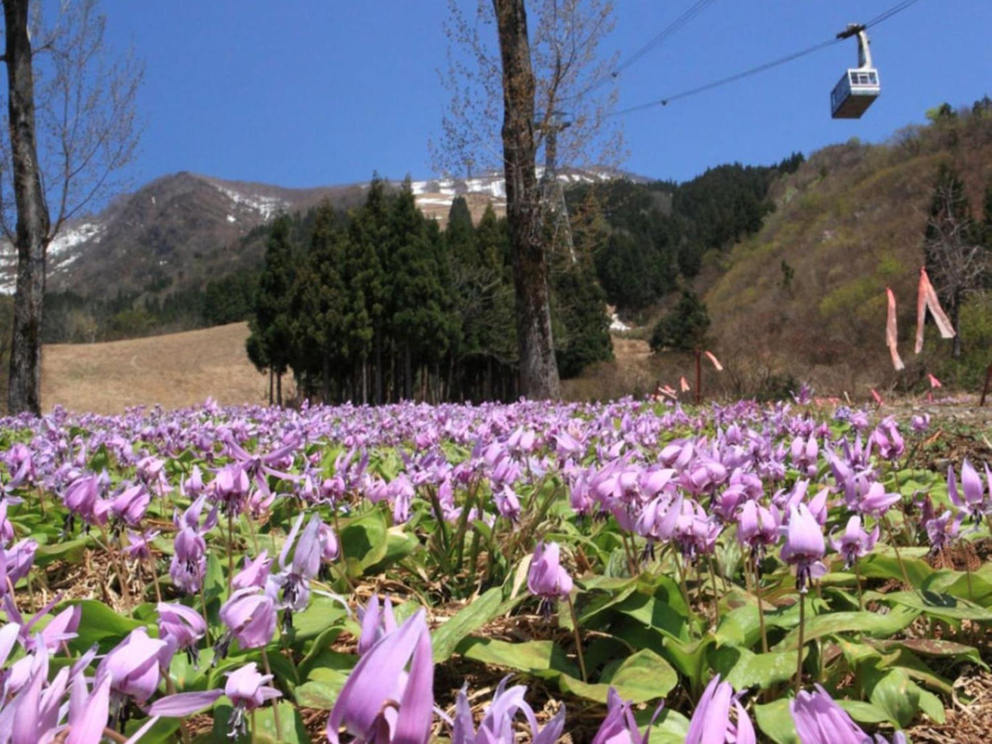 Pension Come Healing Tatami-Room- Vacation Stay 14980 Minamiuonuma ภายนอก รูปภาพ